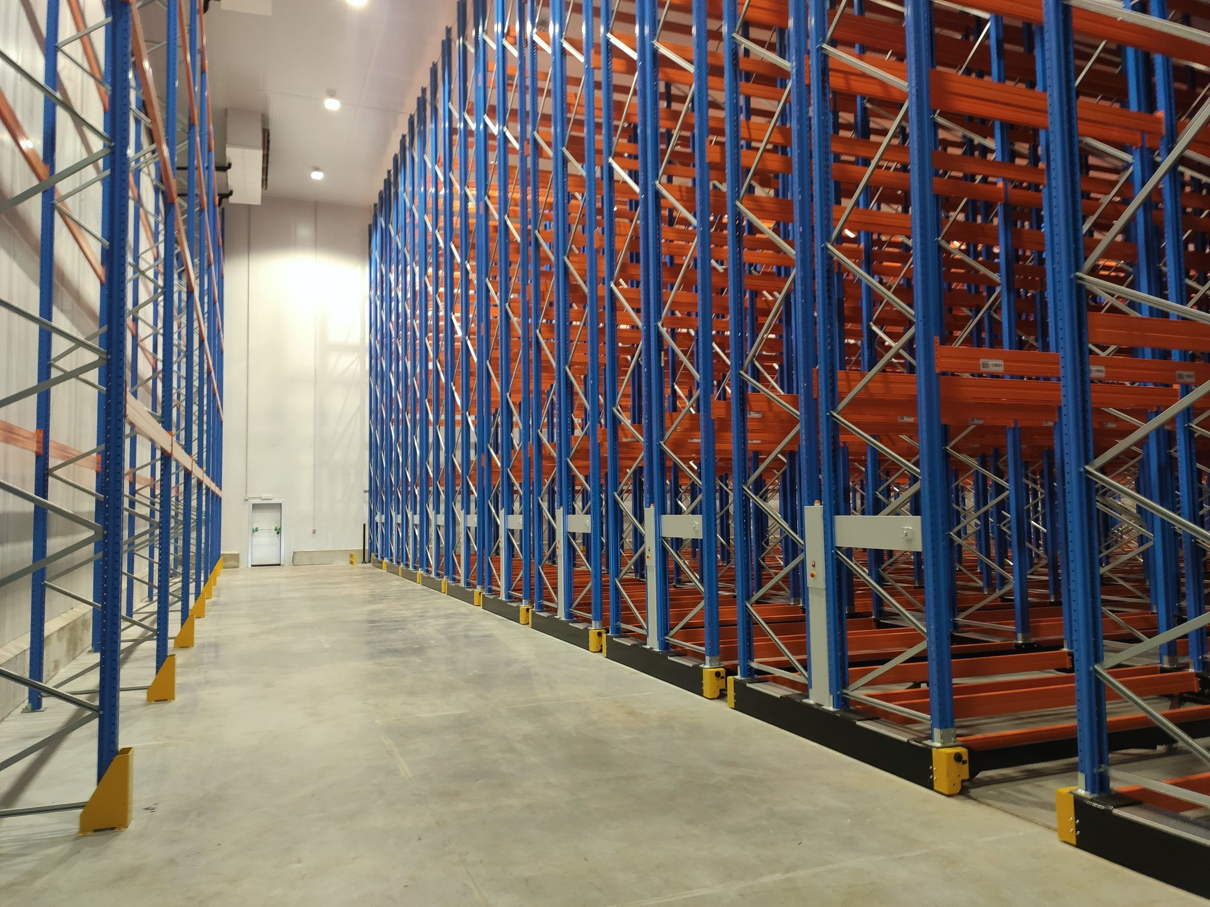 FROZEN PRODUCTS LOGISTIC CENTER ESTABLISHMENT